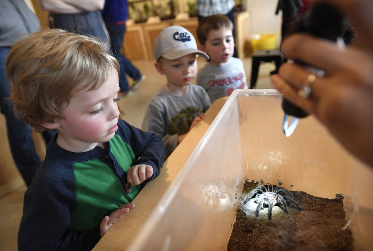 insectarium
